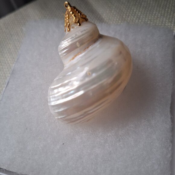 Shell brooch - Picture 1 of 1